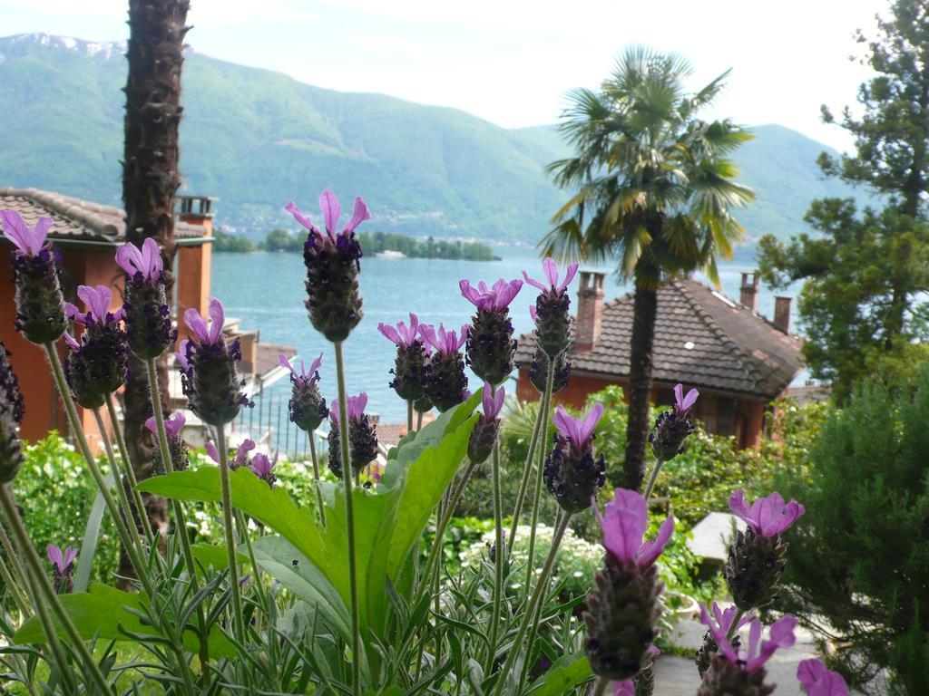 Casa Eva Apartment Ronco sopra Ascona Екстериор снимка