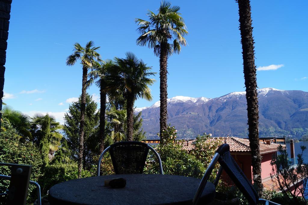 Casa Eva Apartment Ronco sopra Ascona Стая снимка